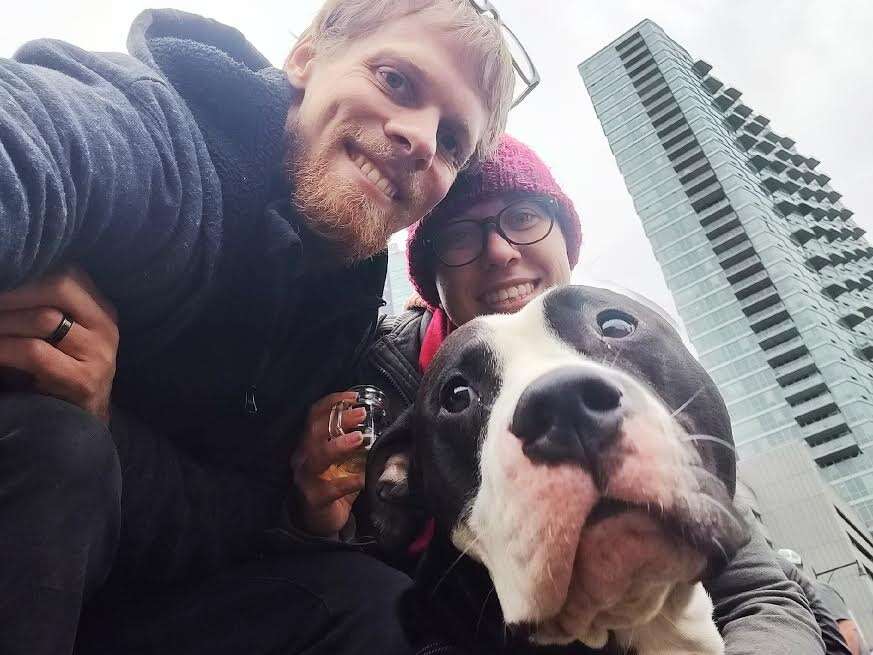 Pit bull with couple