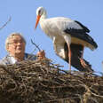 Man Does Everything For His Rescued Stork