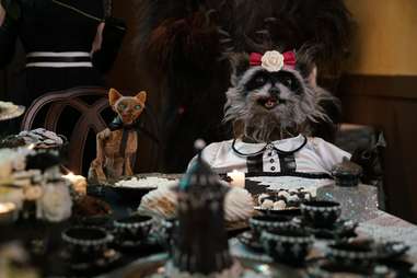 Christine McConnell On How She Made the Creepy Netflix Cooking Show ...