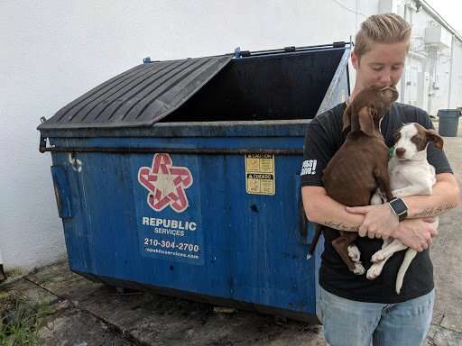 Puppies found in a dumpster near San Antonio Pets Alive! clinic