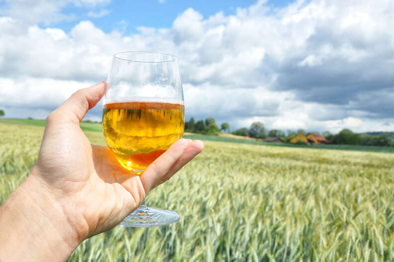 beer in front of barley field