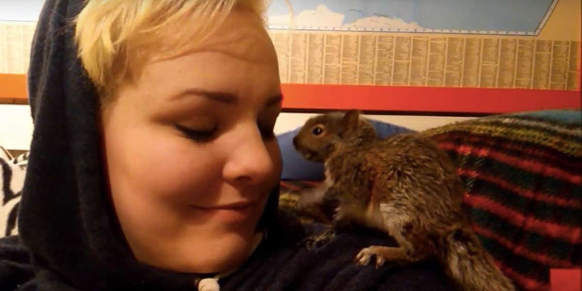 Woman Sends Baby Squirrels She Rescued Back To The Wild - Videos - The Dodo