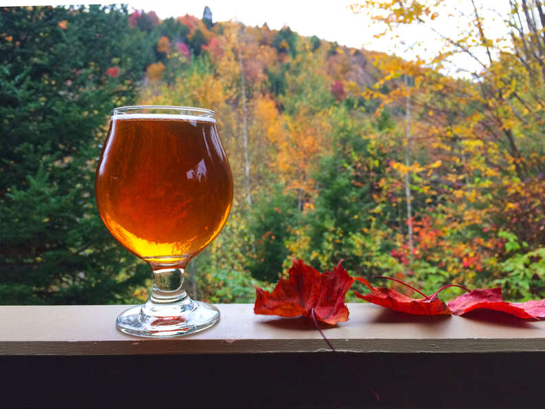 glass of beer and fall foliage