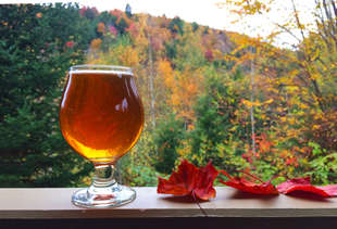 The Best Non-Pumpkin Beers to Drink This Fall