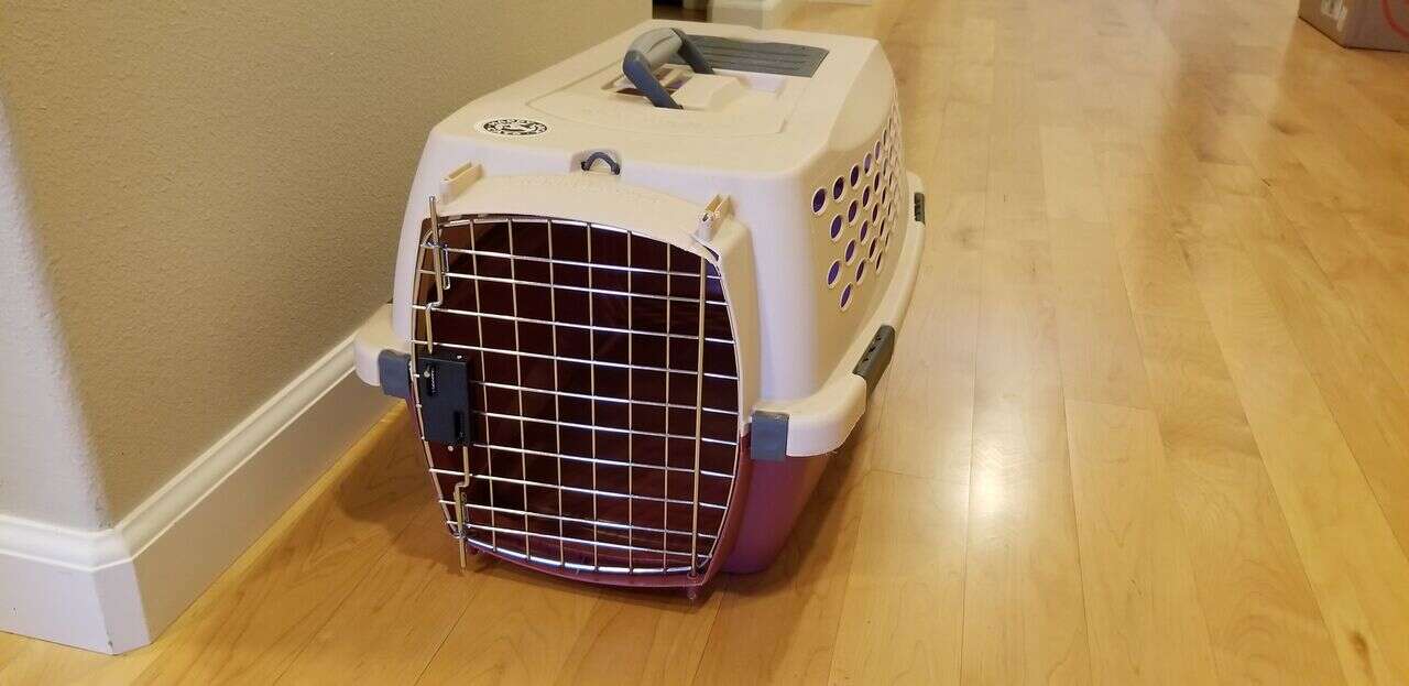 Cat carrier sitting on ground