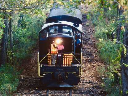 Halloween train