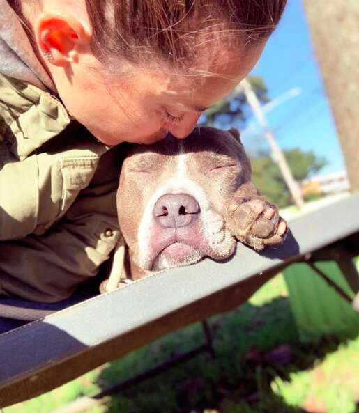 Woman kissing pit bull on the head
