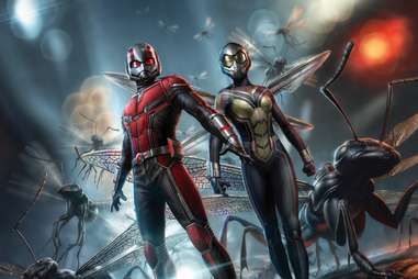 ant man and the wasp