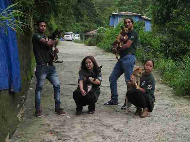 People holding rescued dogs