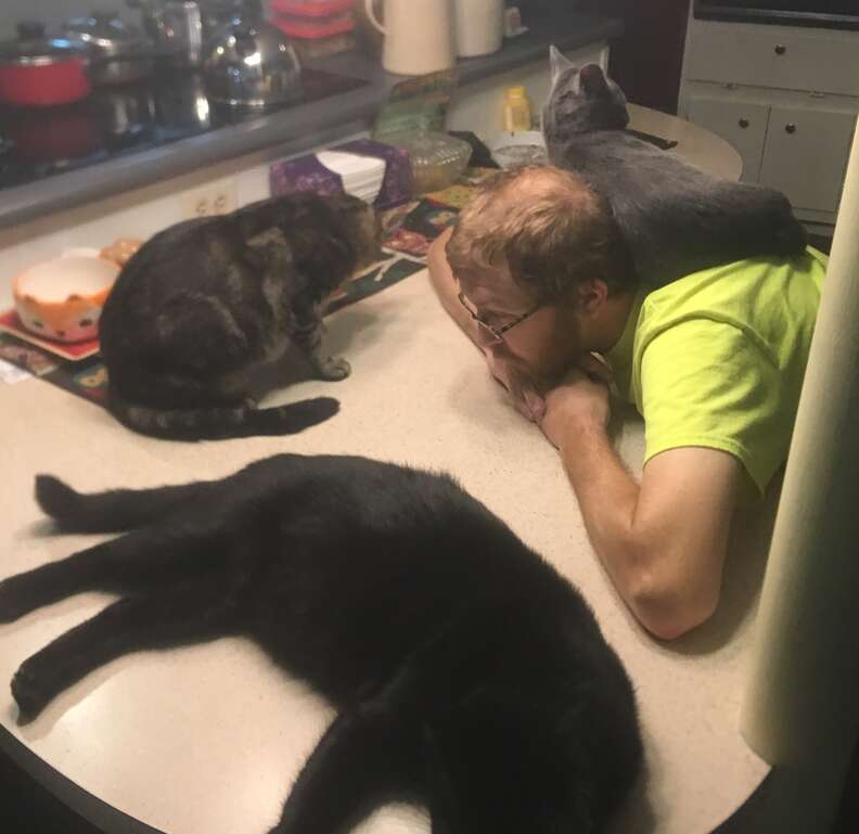 6 rescue cats sleep together at their forever home