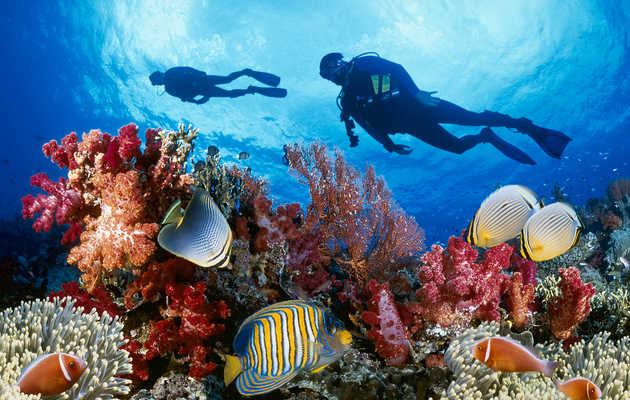 The Best Places Around the World to Scuba Dive