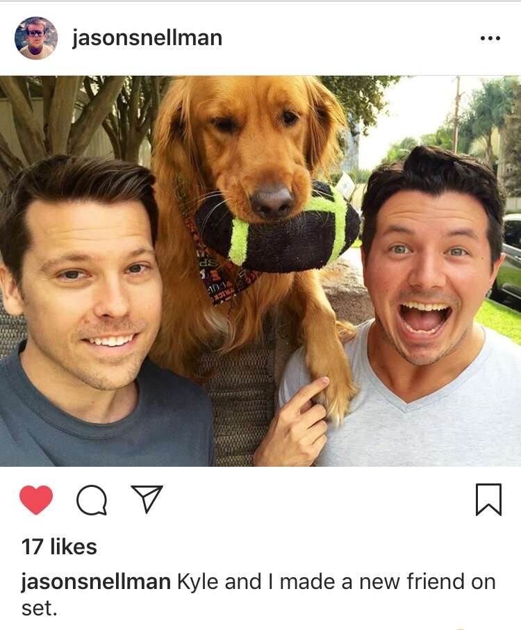 dog throws ball over wall to get attention