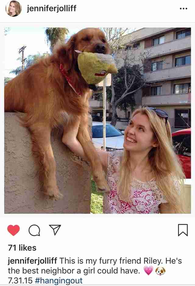 dog throws ball over wall to get attention