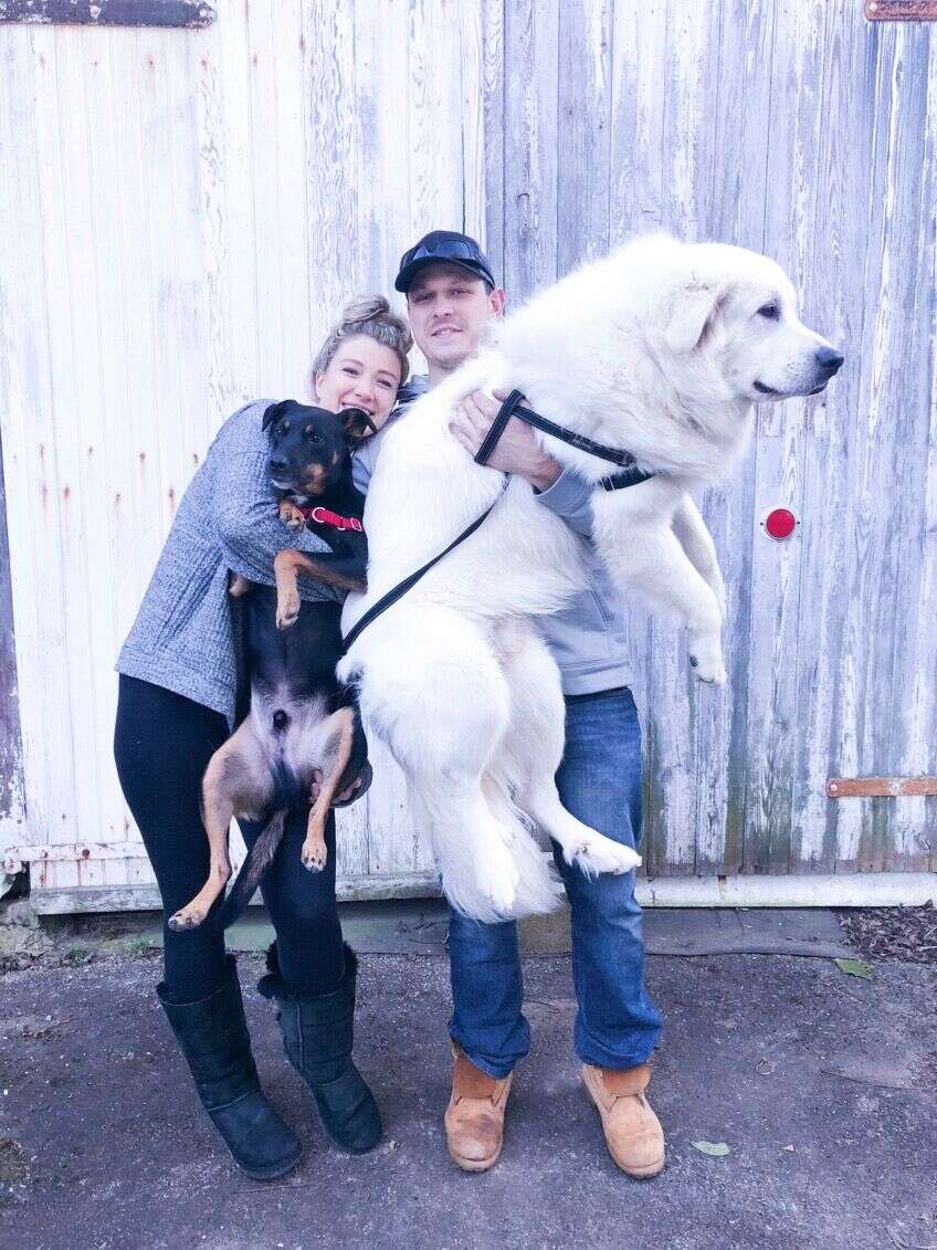 Couple holding their dogs