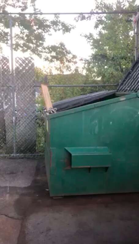 raccoons stuck in dumpster 