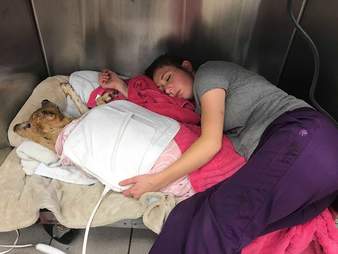 Vet sleeping in kennel with injured dog
