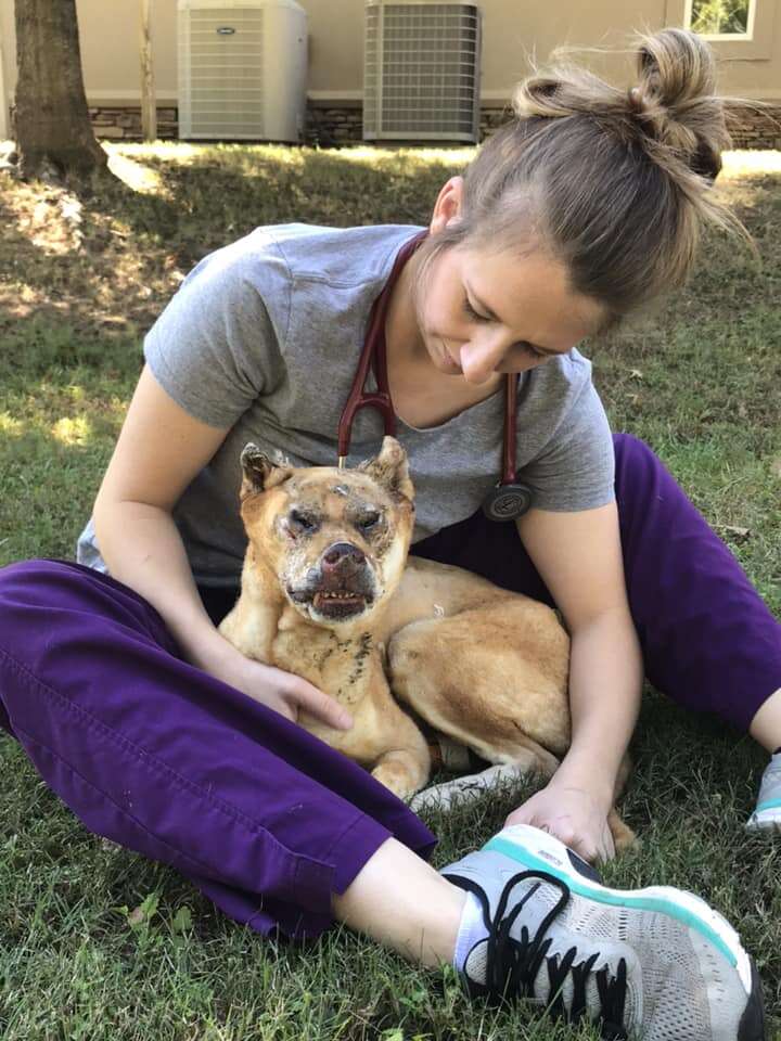 Vet cuddling with injured dog in yard