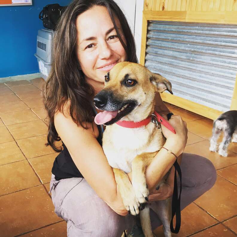 Abandoned pregnant dog in Costa Rica with rescuer