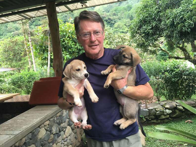 Puppies with foster human 