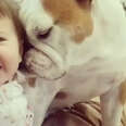 Bulldog Makes His Favorite Little Girl So Happy