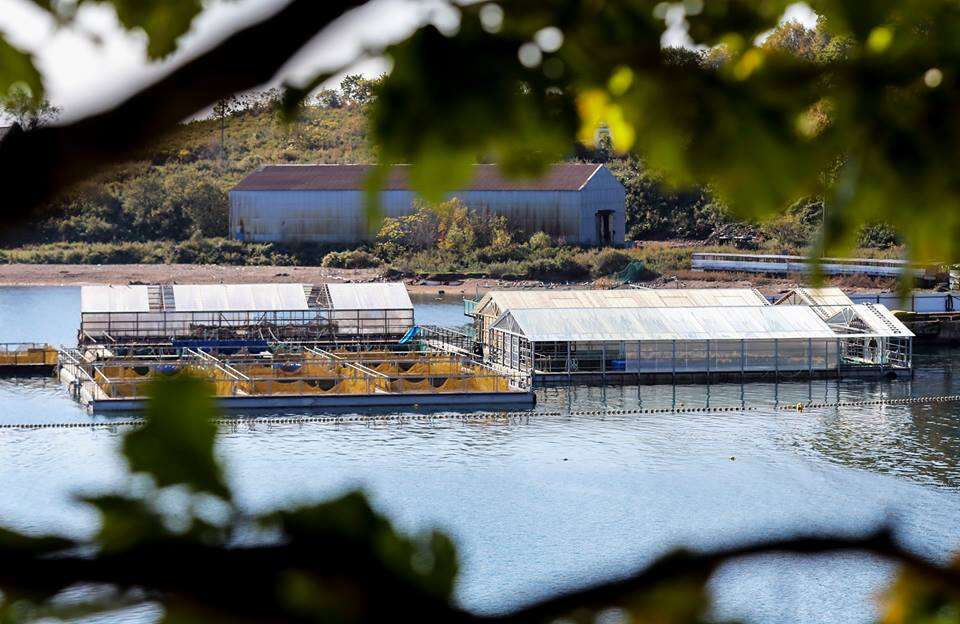 Holding pens for belugas and orcas