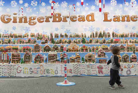 Gingerbread Lane NYSCI