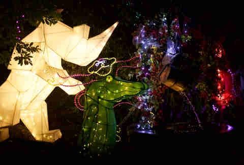 zoo lights la