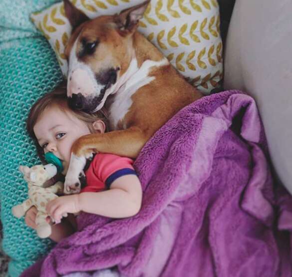 Luna the dog sleeps with her baby sister