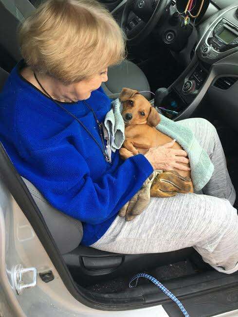 Older woman holding rescued dog in car