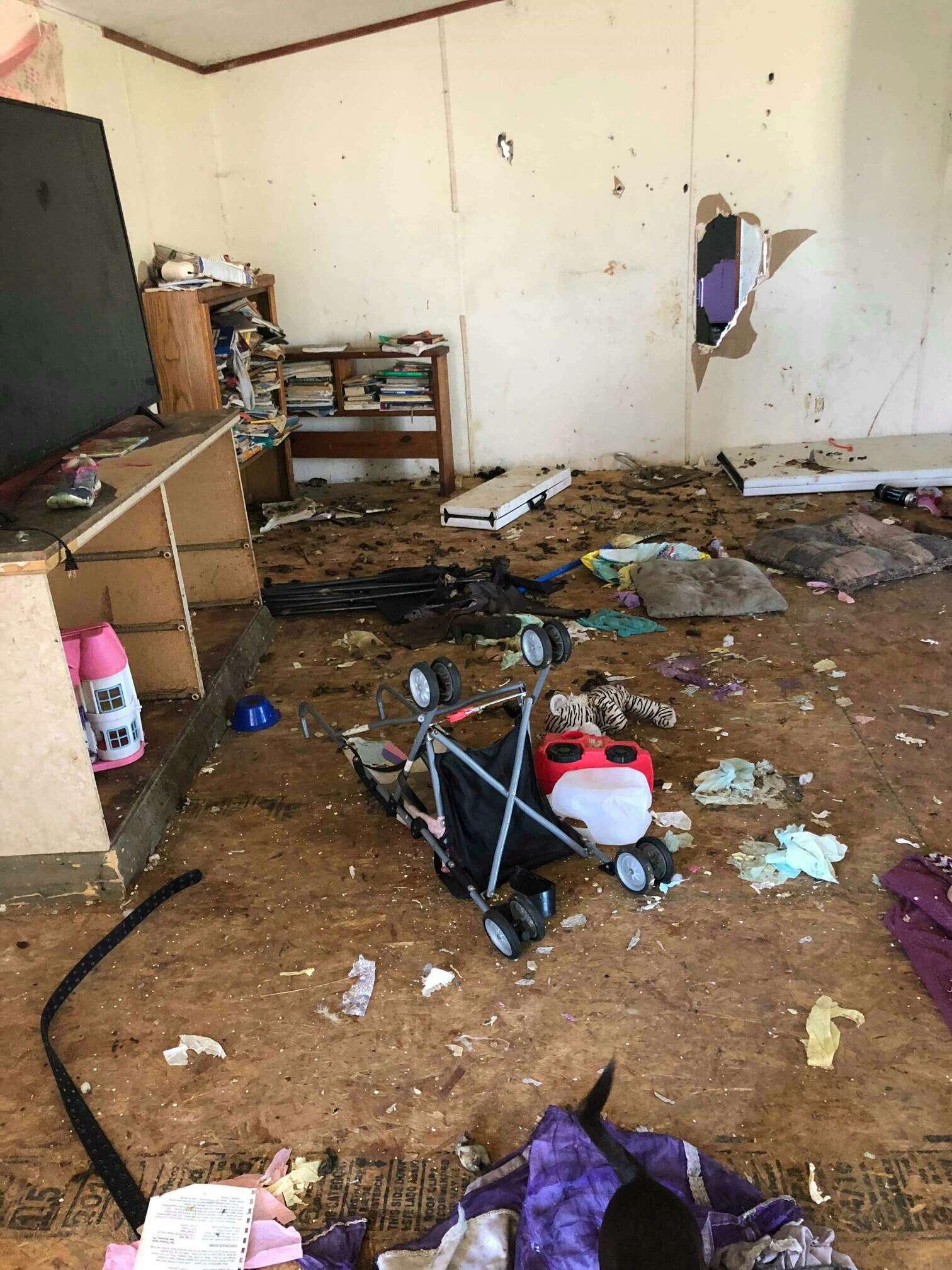 Rescuers Save 27 Dogs From Hoarder’s Property In Texas - The Dodo