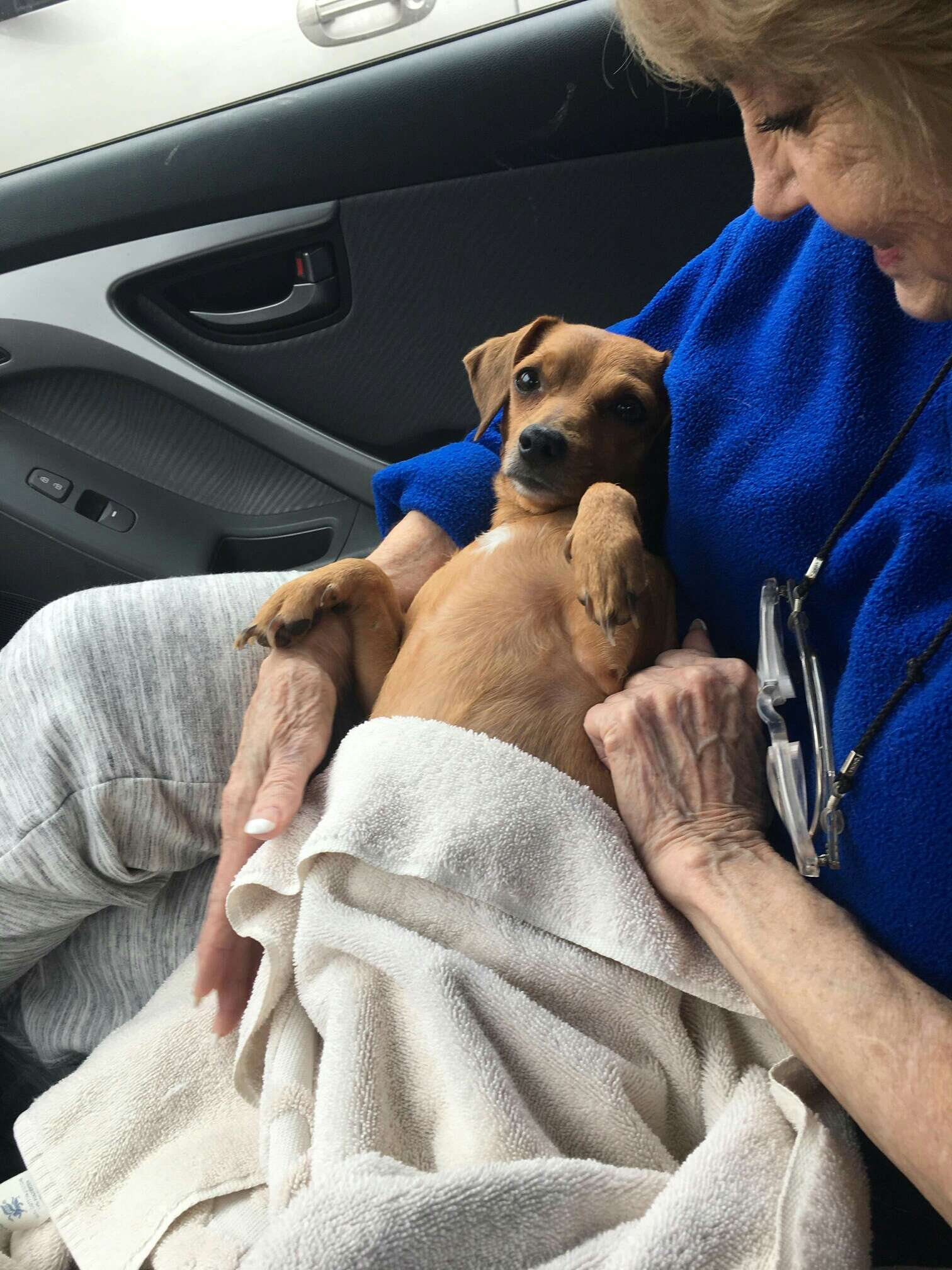 Woman holding rescued puppy on her lap