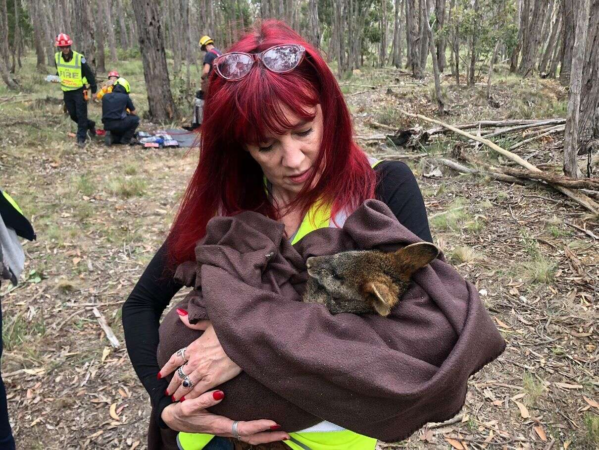 Rescuers saving wallaby down mineshaft