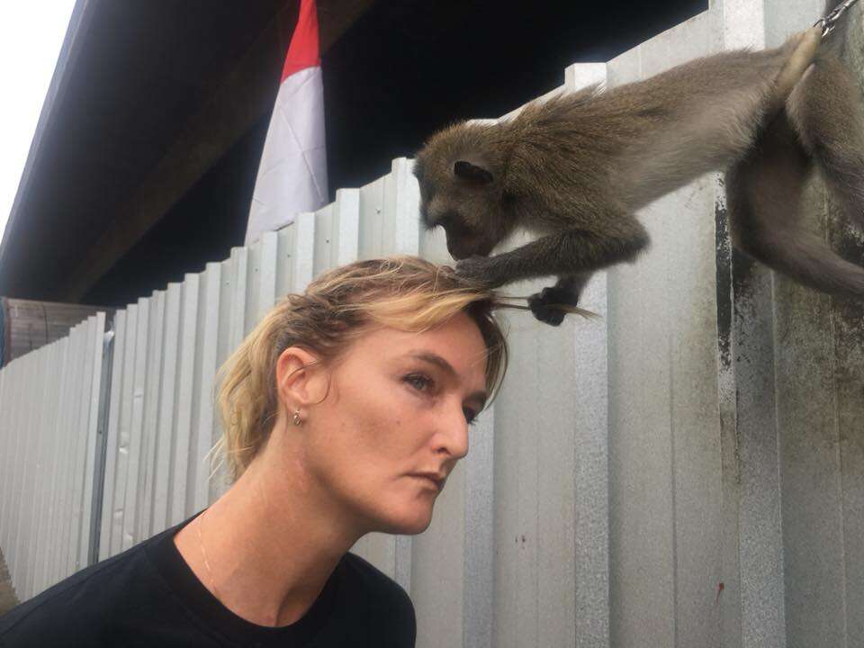 Monkey touching woman's head