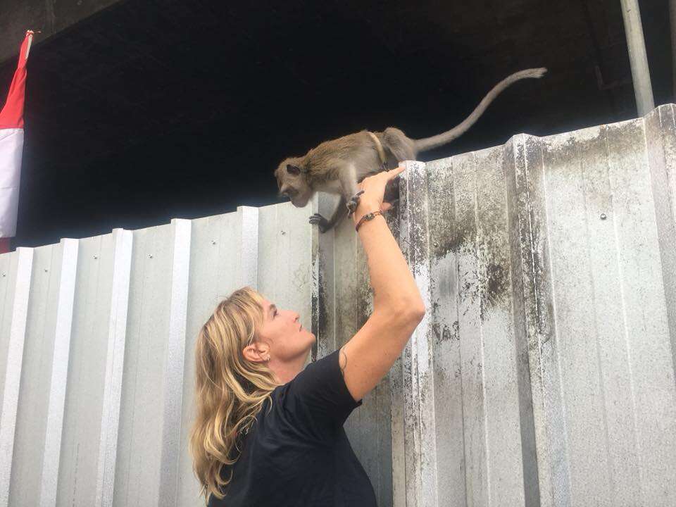 Woman reaching up to help chained monkey