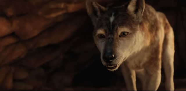 Mowgli Trailer Cgi Animals In Netflix S Jungle Book Movie Look