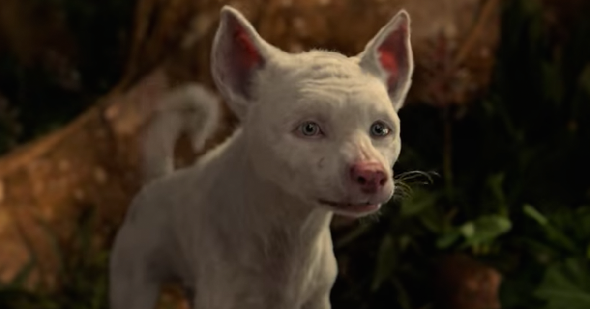 Mowgli Trailer: CGI Animals in Netflix's Jungle Book Movie Look Unwell -  Thrillist