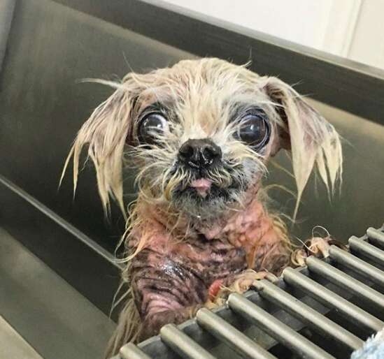 Martha takes a bath to help her skin heal