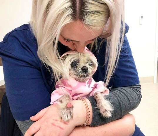 Bianca Stockley kisses her foster dog Martha