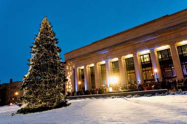 holiday tree lighting