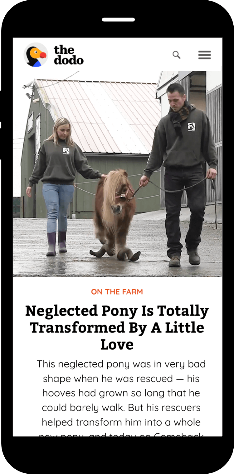 iPhone thedodo with article