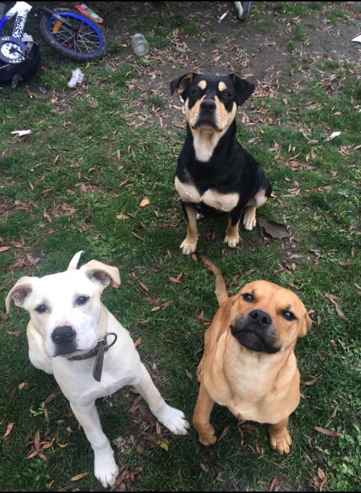 Stanley and his mom and brother at an abandoned property