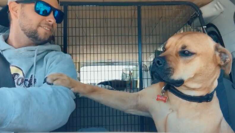 Stanley the dog demands pets from his adopter