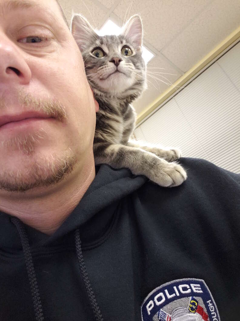 Cat is adopted by workers of the police station, gets uniform and becomes  Chief of Purrlice : r/Catswithjobs