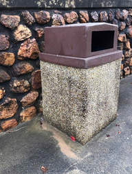 The trash can where Carolina the Chihuahua was found