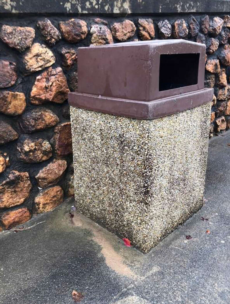 The trash can where Carolina the Chihuahua was found