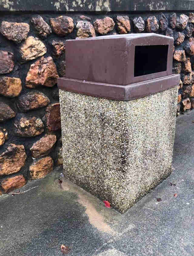 The trash can where Carolina the Chihuahua was found