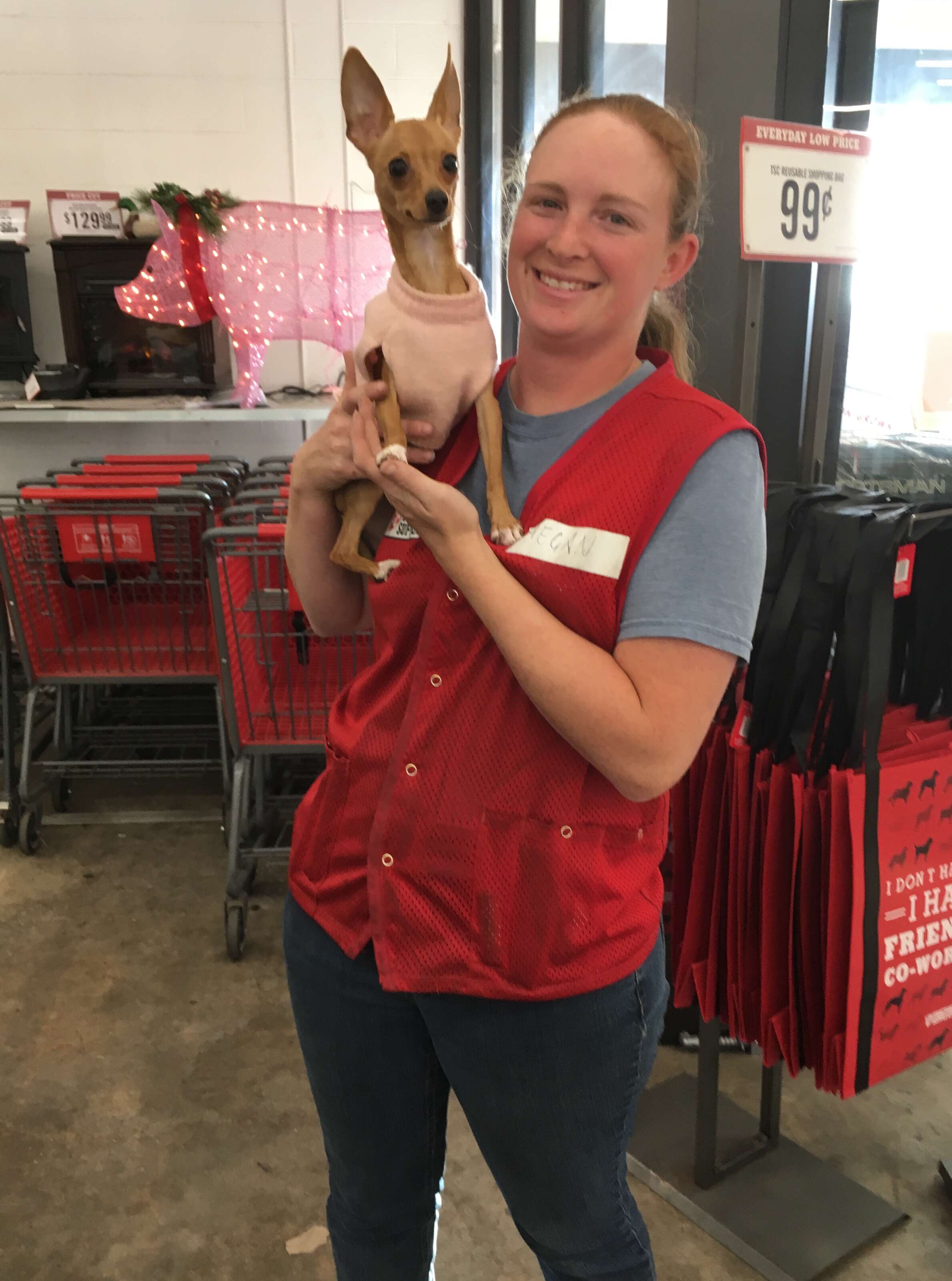 Carolina the Chihuahua visits Target