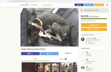 clive dog houston school