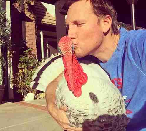 turkey rescue california