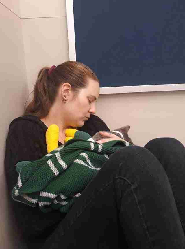 cat rescue